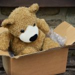 Bear in box