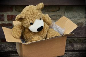 Bear in box