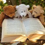 Three bears and a book