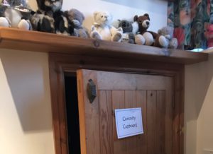 Curiosity Cupboard and Shelf