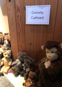 Curiosity Cupboard catagory1