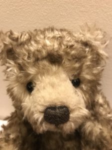 Charlie Bear Curiosity Cupboard Button face
