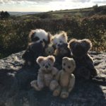 Curiosity Bears On A Rock