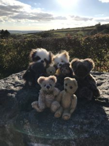 Curiosity Bears On A Rock