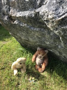 Bear and Gulliver find eggs