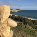 Bear at Overcombe