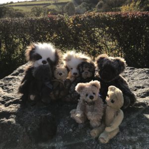 Bear and Curiosity Bears