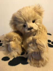 Curiosity Cupboard Collection; unknown bear