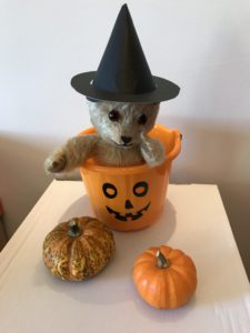 Bear at Halloween 2018