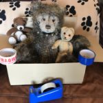 Bear, Meg Bear and Scooby, travelling box