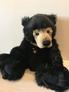 charlie-bears-seth-and-anniversary-seth
