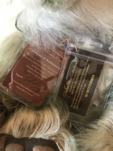 Charlie Bears Forbes (tags)
