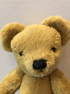 curiosity-cupboard-collection-bearhug-bear
