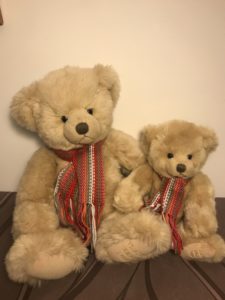 curiosity-cupboard-collection-fraser-bears