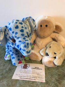 teddy-trust-donation-december-2020